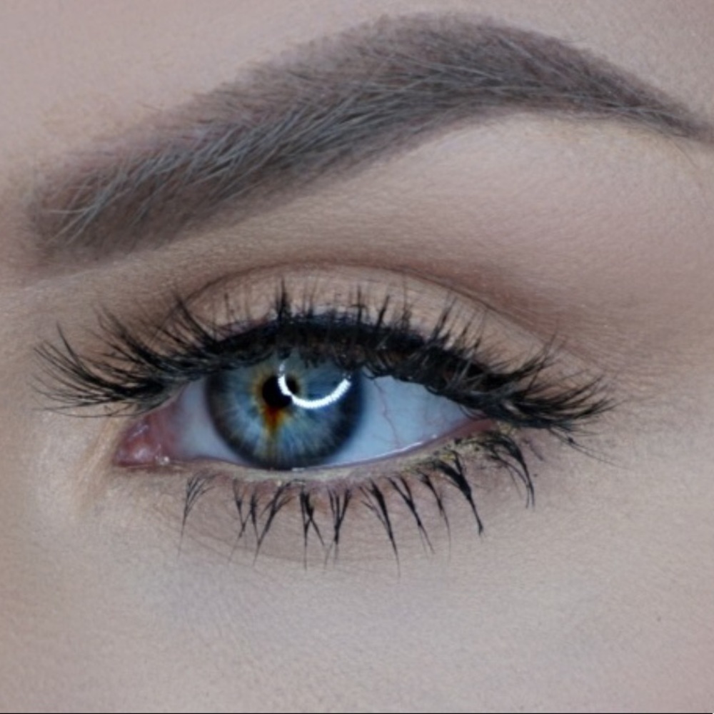 NEW Vixen Lashes - Molly